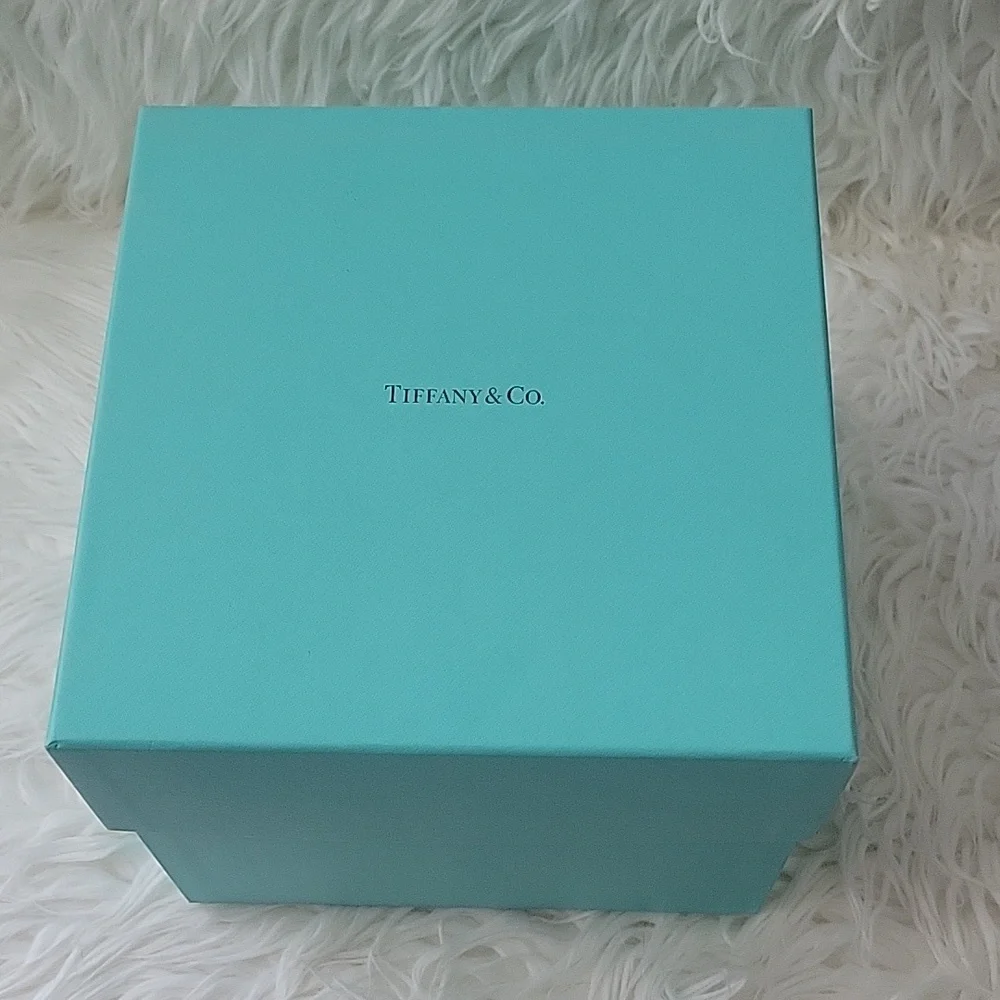Tiffany and Co. Large box with paper and bow.